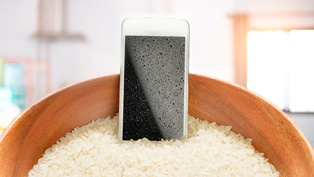 na imagem, um celular aparece dentro de uma tigela com arroz